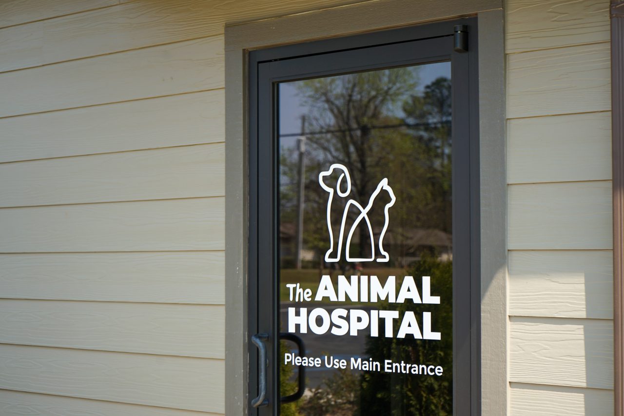 Animal Hospital at Liberty Highway glass door