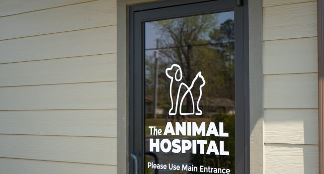 Animal Hospital at Liberty Highway glass door