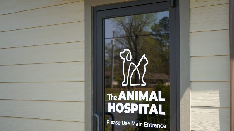 Animal Hospital at Liberty Highway glass door