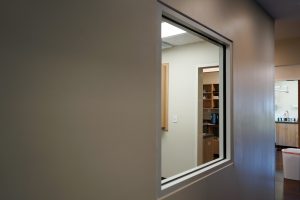 Animal Hospital at Liberty Highway interior window
